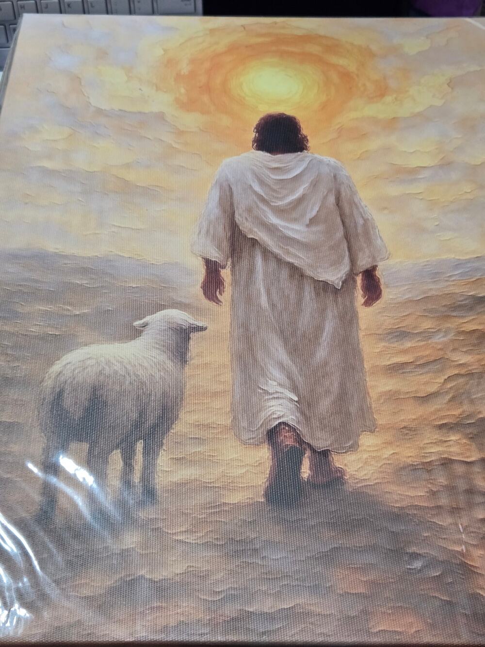 Jesus with Lamb Canvas Wall Art Christian Religious Print 12x16 New Open Box